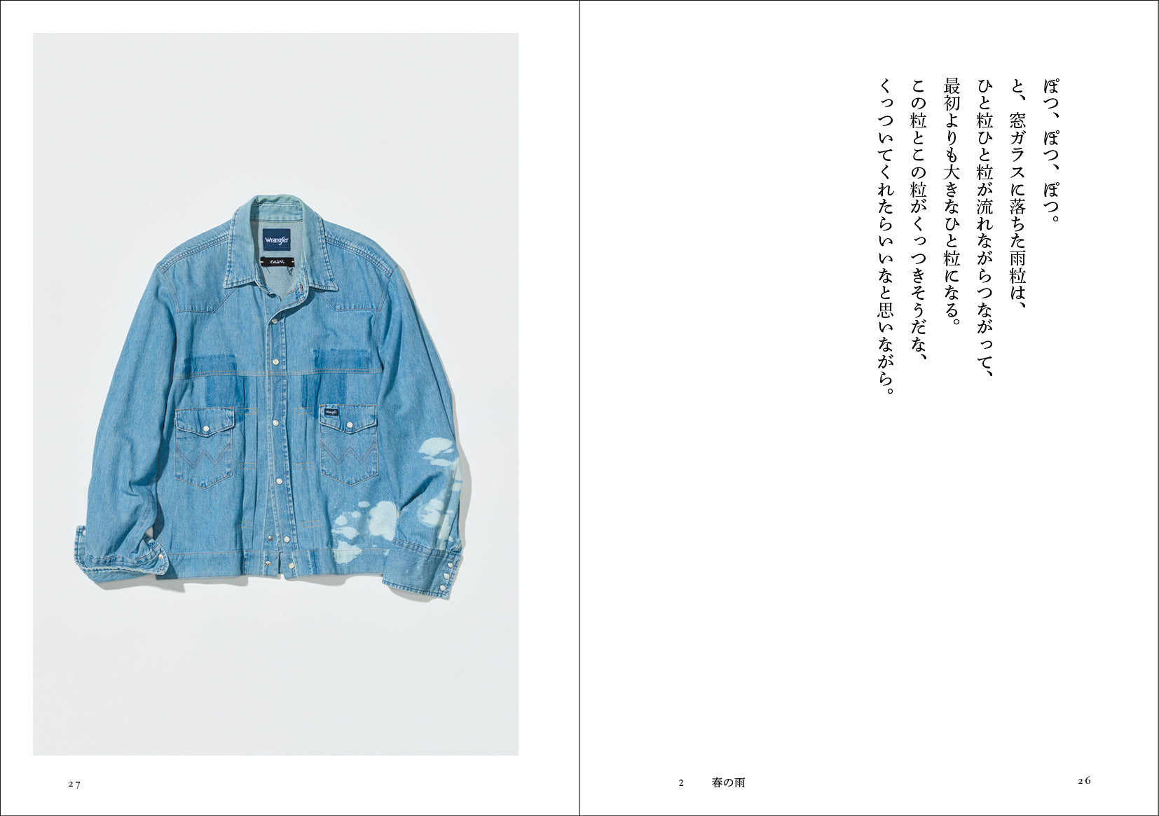 エンソウノコト